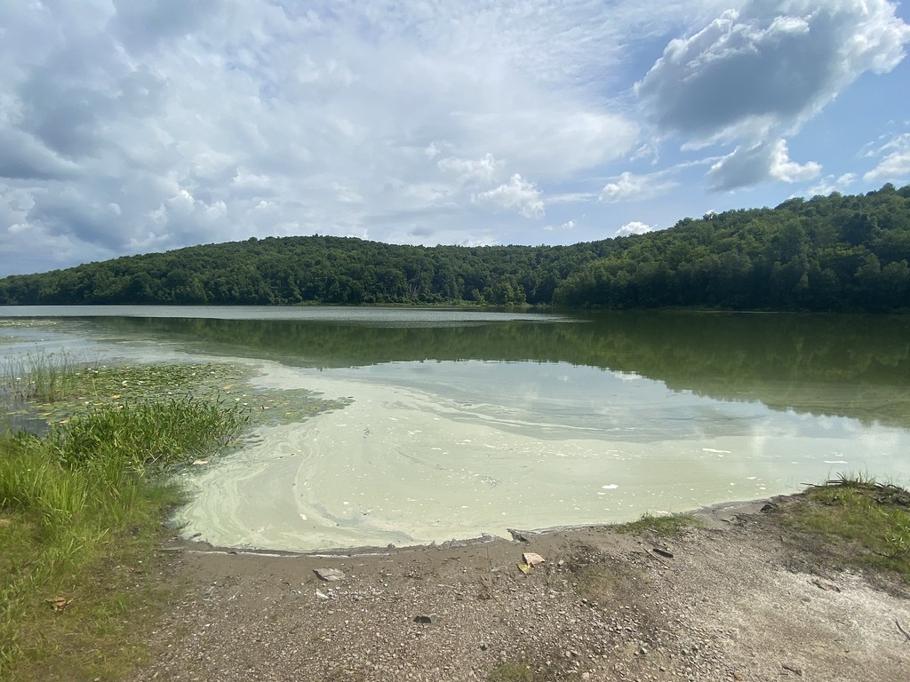 Prompton Lake A view of Prompton Lake in Prompton State Pa… Flickr