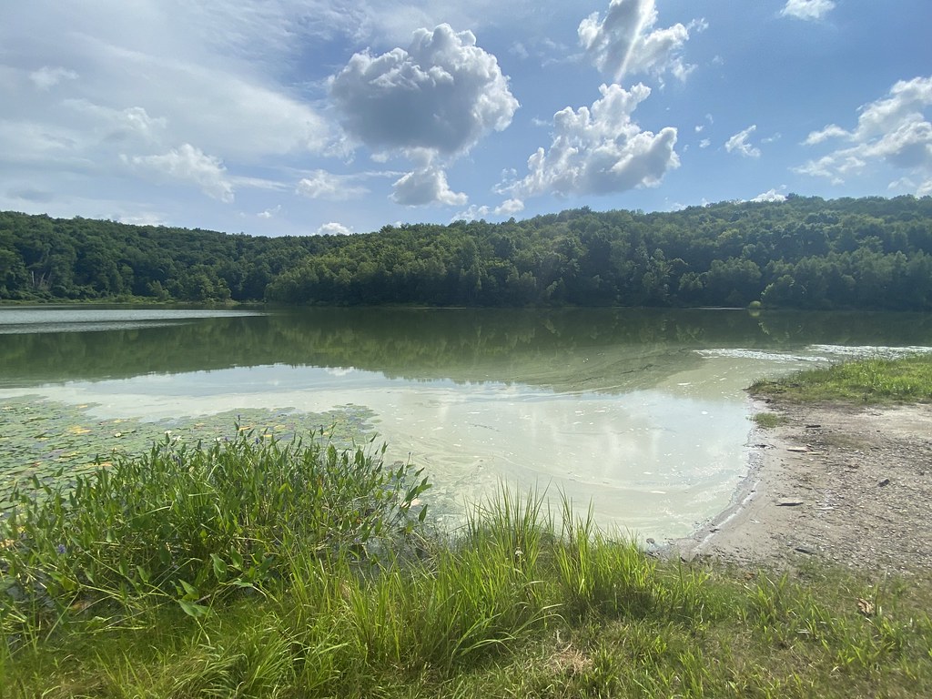Prompton Lake A view of Prompton Lake in Prompton State Pa… Flickr