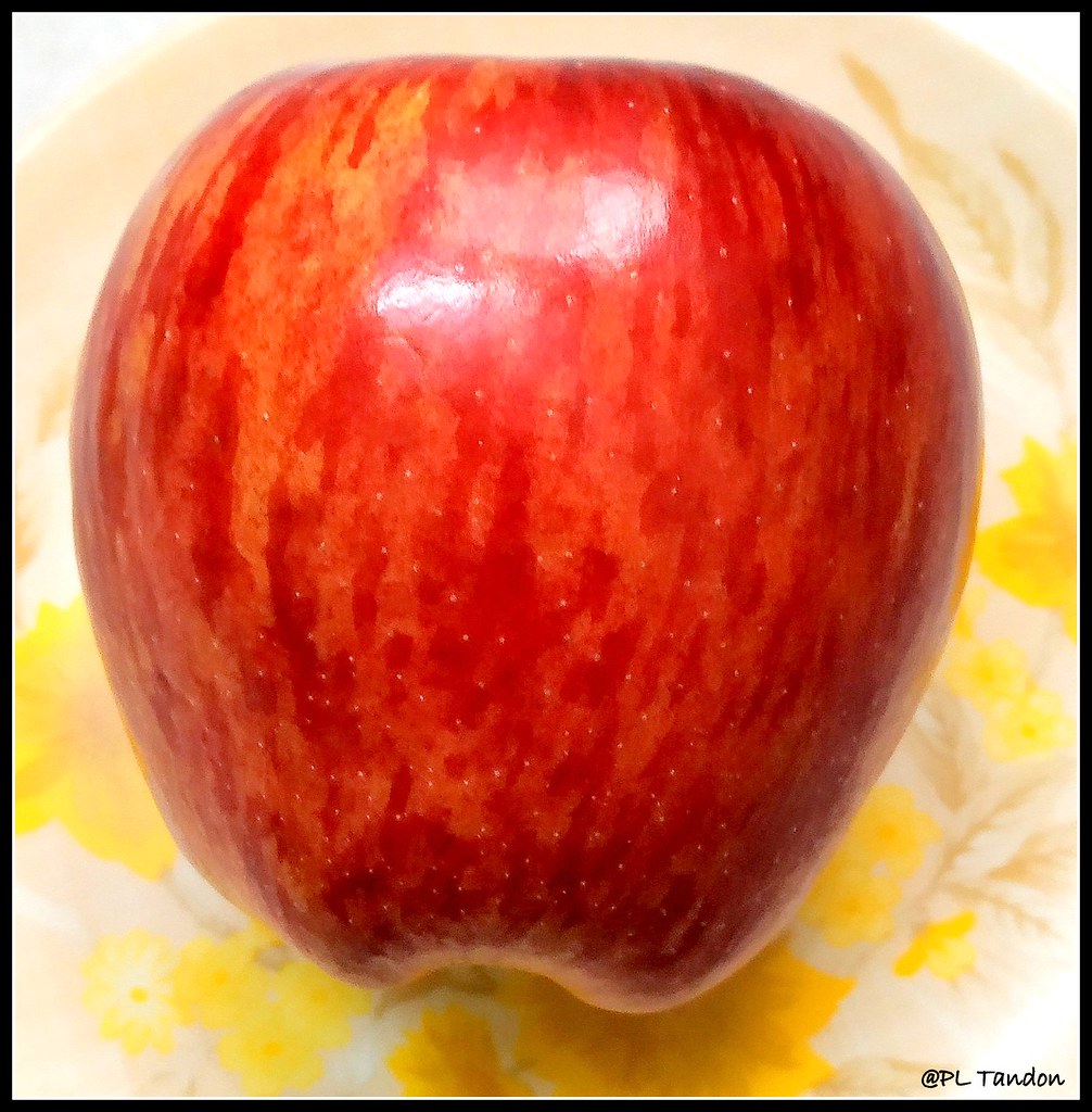 Red Delicious Apple Washington Red Delicious Apple sold in… Flickr
