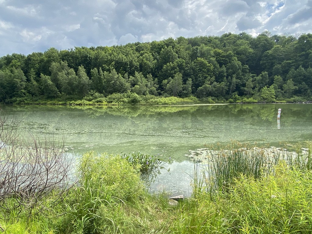 Prompton Lake A view of Prompton Lake in Prompton State Pa… Flickr