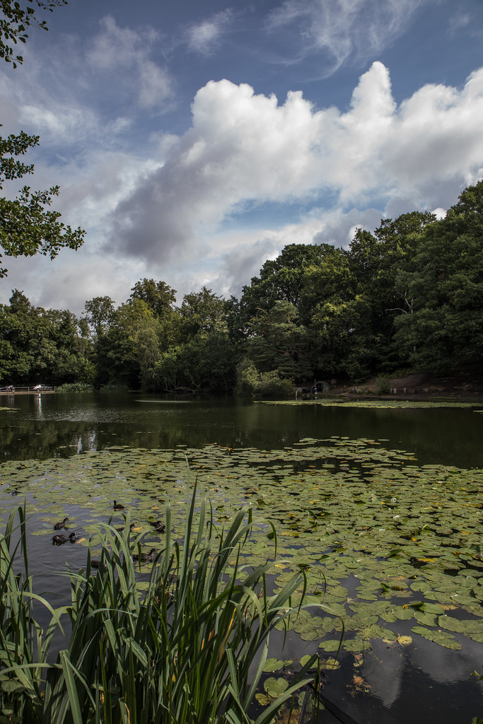 Keston Ponds g&sphotography Flickr