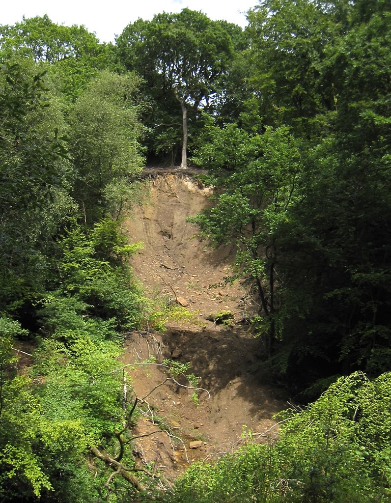 Landslip in Healey Dell The landslip was likely caused by … Flickr