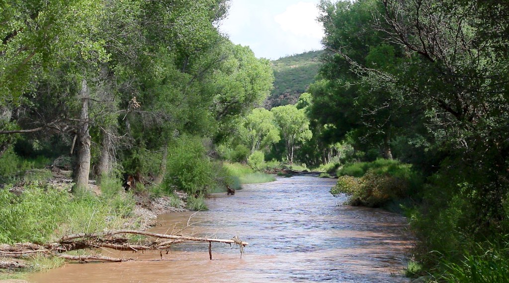 Arizona’s Beloved San Pedro River Is about to Meet the Rising Wall on