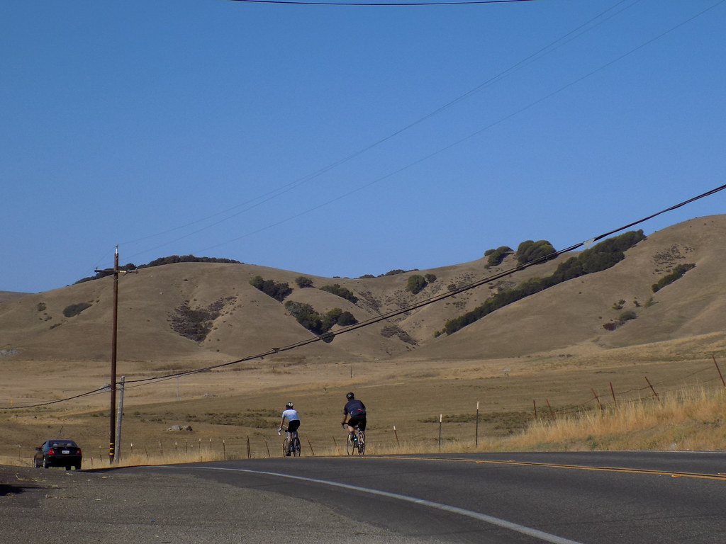 marin cheese factory Flickr