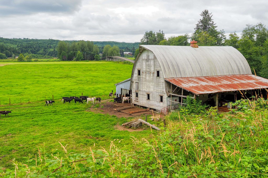 Nothing Like Home Rosburg, Washington Eclectic Jack Flickr