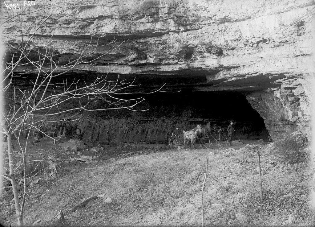 Missouri Caves Gourd Creek Cave Collection Name RG110.0… Flickr
