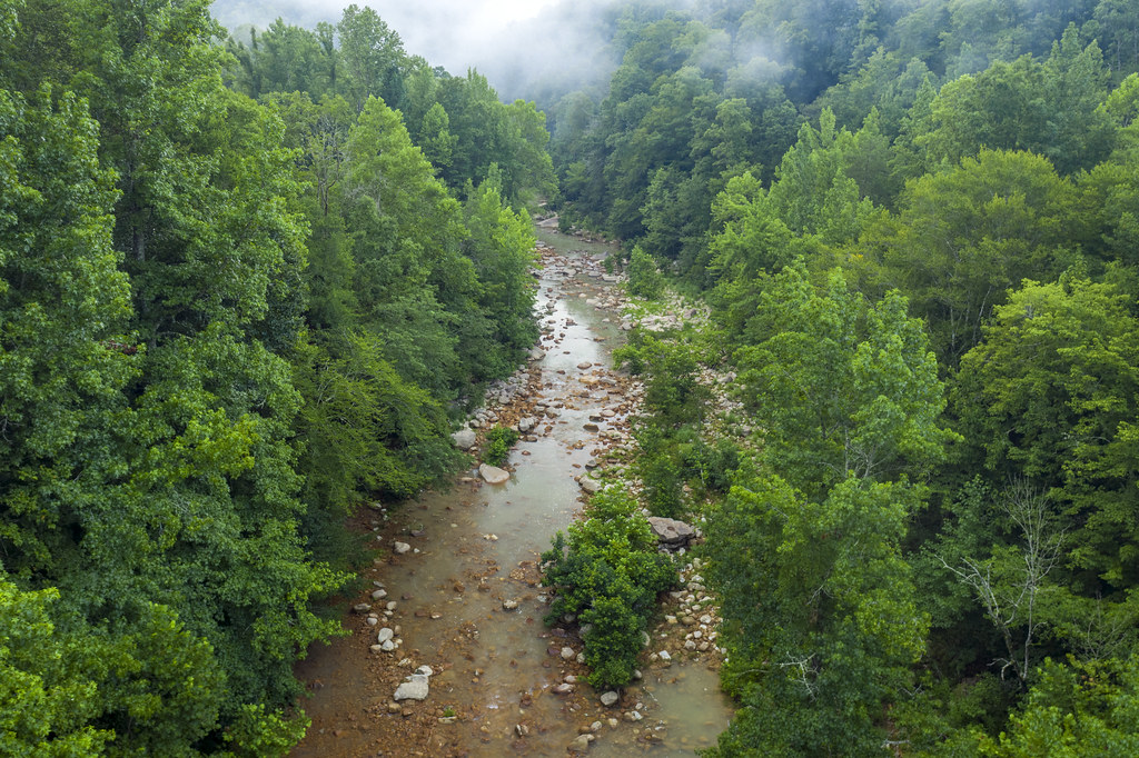 East Fork Obey River, Fentress County, Tennessee 8 a photo on Flickriver