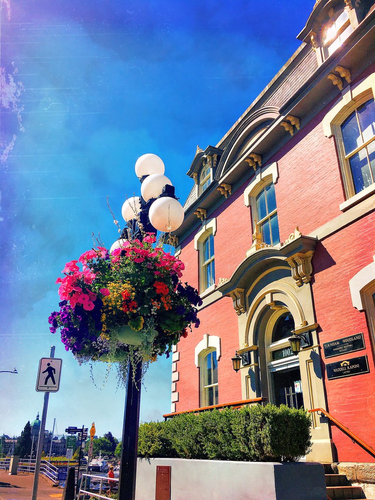 Our harbour in the summer flower baskets are a distinctive… Flickr