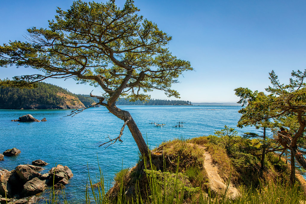 Bowman Bay A cluster of kayaks traveled across Bowman Bay … Flickr