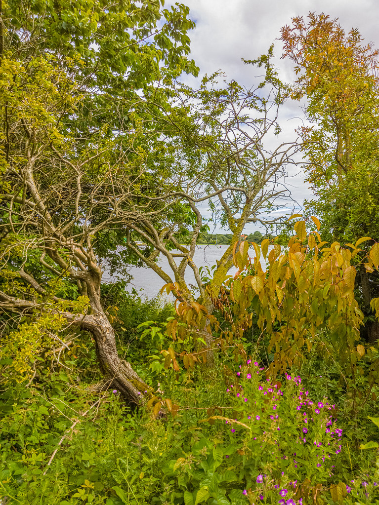 Lochore, Lochgelly Scotland Lochore Khurram Gul Flickr