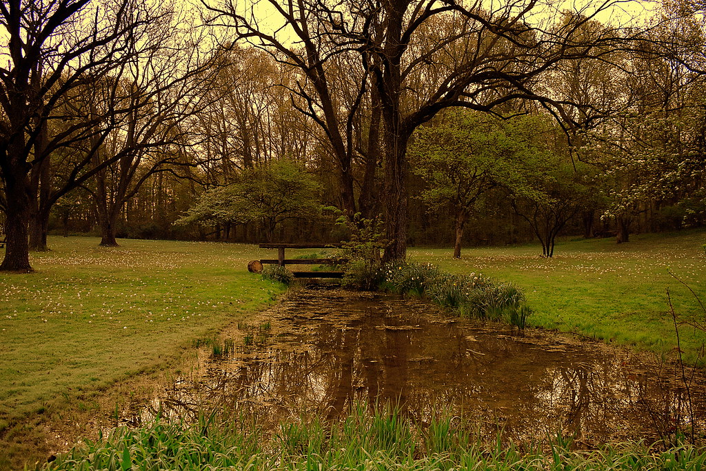 A calm morning at Bixler Lake Park At Kendallville Indiana… Flickr