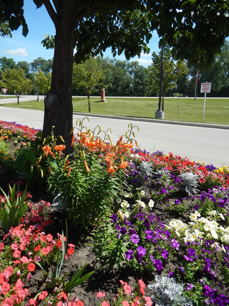 Beautiful BTH's flower gardens Greaves Flickr