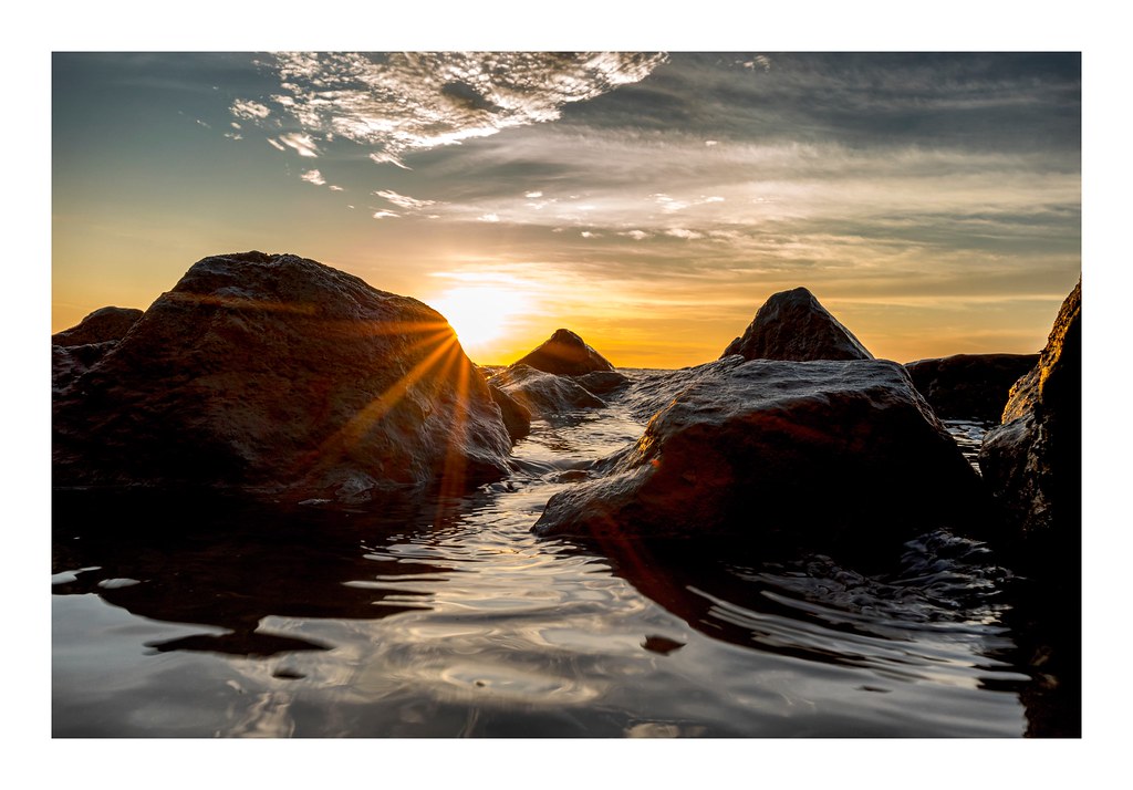 Driftwood Beach, Maryland Craig Clark Flickr
