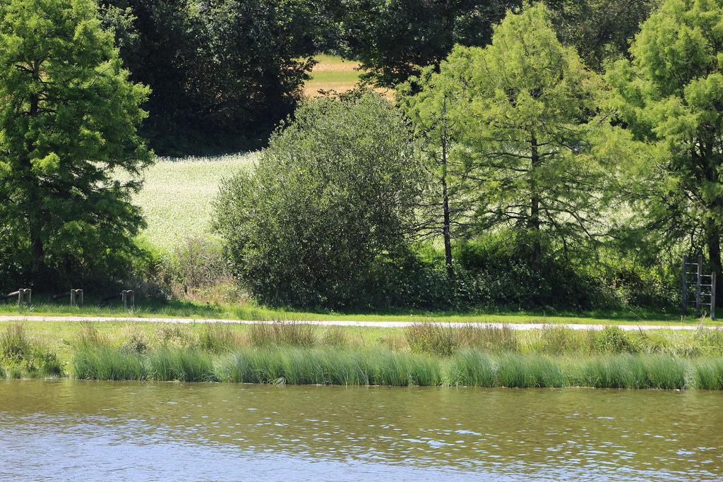 L'Etang du Dordu Rhian Flickr
