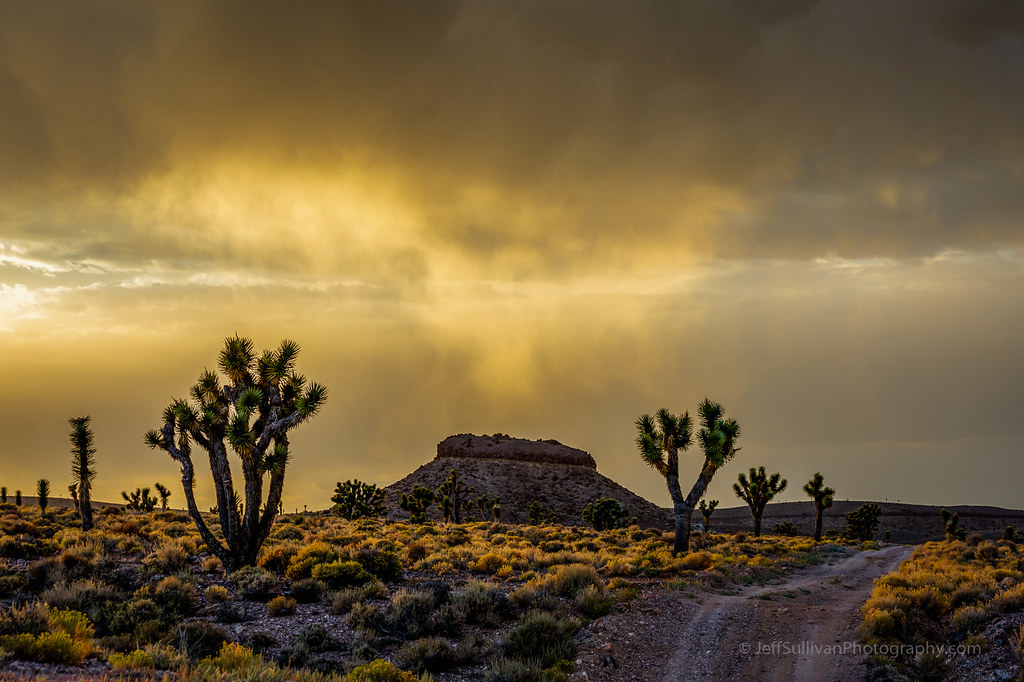 Nevada Mojave Desert Sunset Jeff Sullivan Flickr