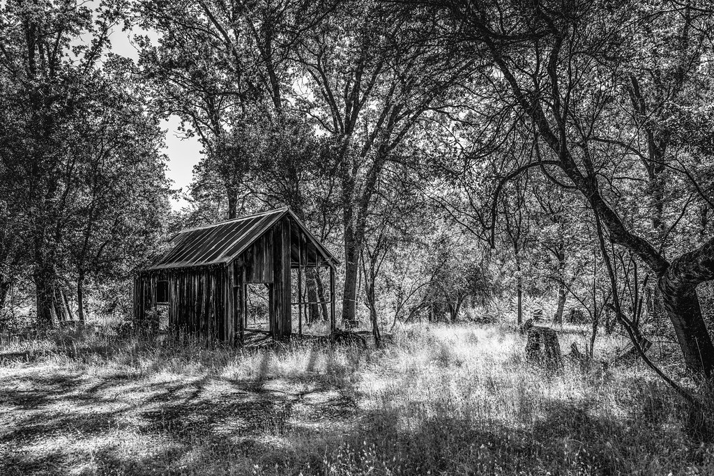 Angels Camp, California Bill Hamilton Flickr