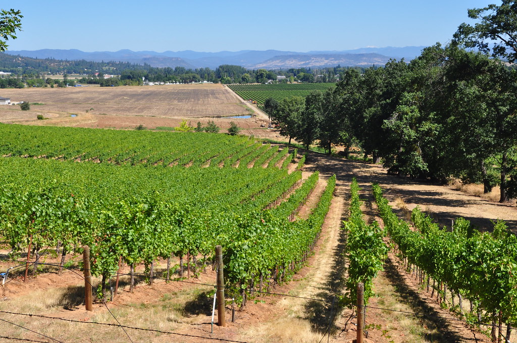 Vineyards near Jacksonville, Oregon We discovered the beau… Flickr