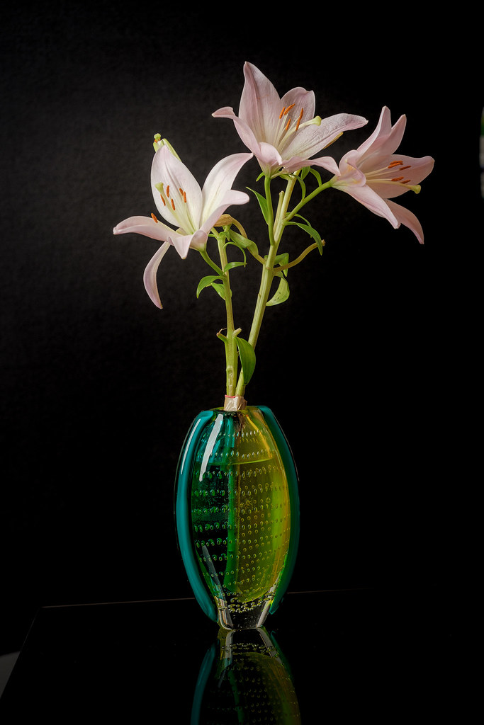 Vase with flowers Variations Nr 1 Traveller_40 Flickr