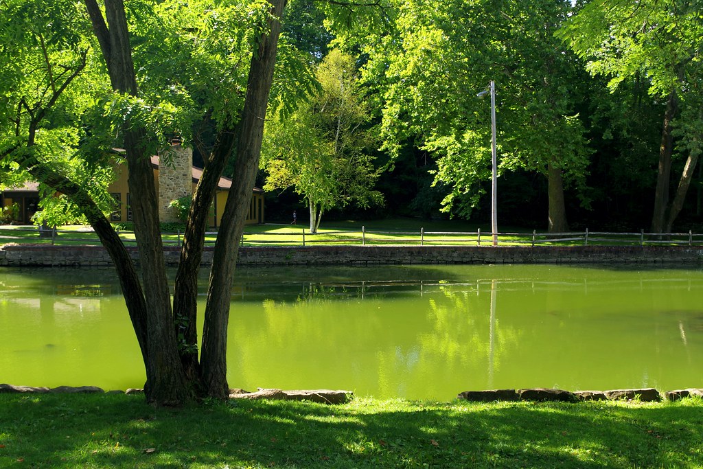 Yellow Creek Park Flickr