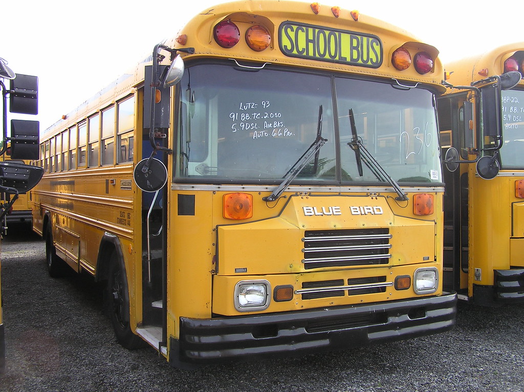 1991 Blue Bird TC2000 FE | SchoolBusCentral | Flickr