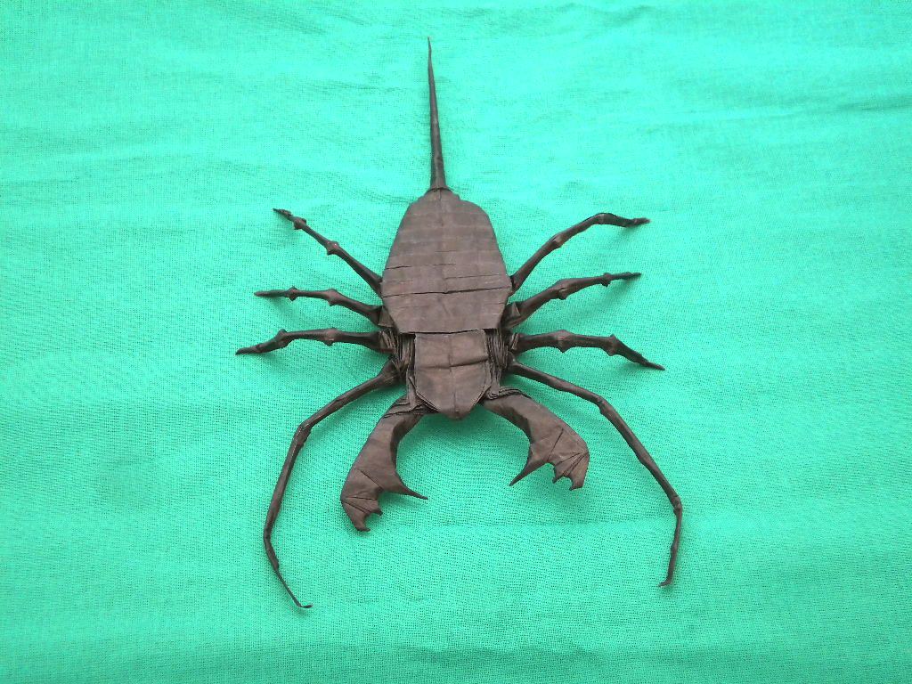 vinegaroon by Kota Imai square 50.8x50.8 cm Nikor_ru Flickr