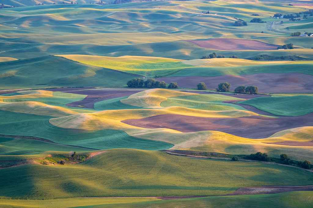 Golden hour sunset aerial view of The Palouse region of Ea… Flickr