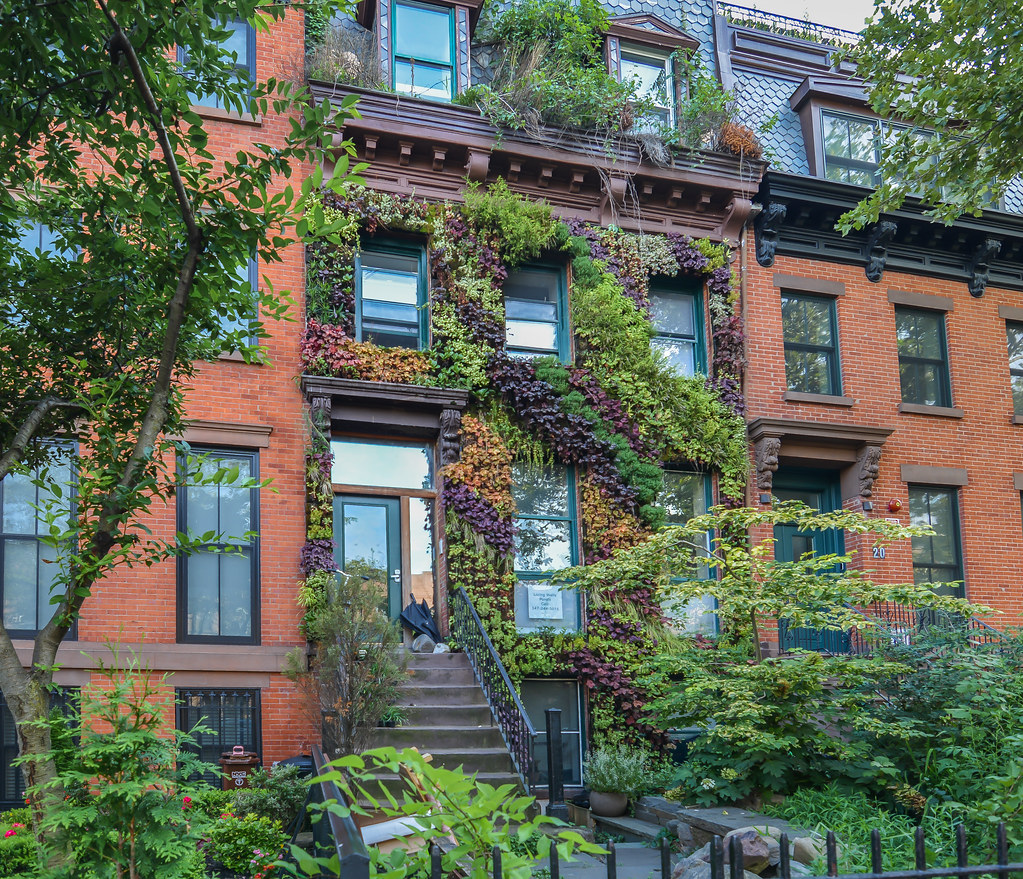 Carroll Gardens house, Brooklyn, New York City Noel Y. Calingasan