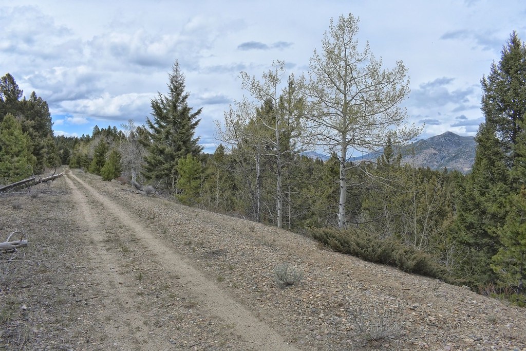 Milwaukee Road Rail to Trail, Thompson Park, Butte Montana… Flickr