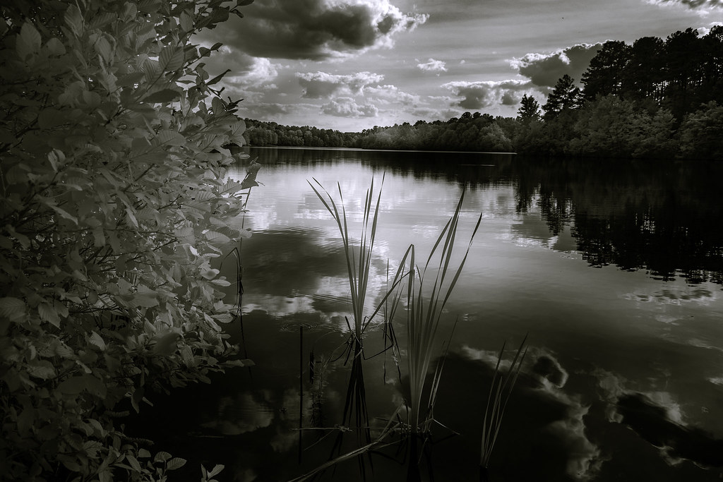 More Lake Meriwether Meriwether County near Woodbury, Geor… Flickr
