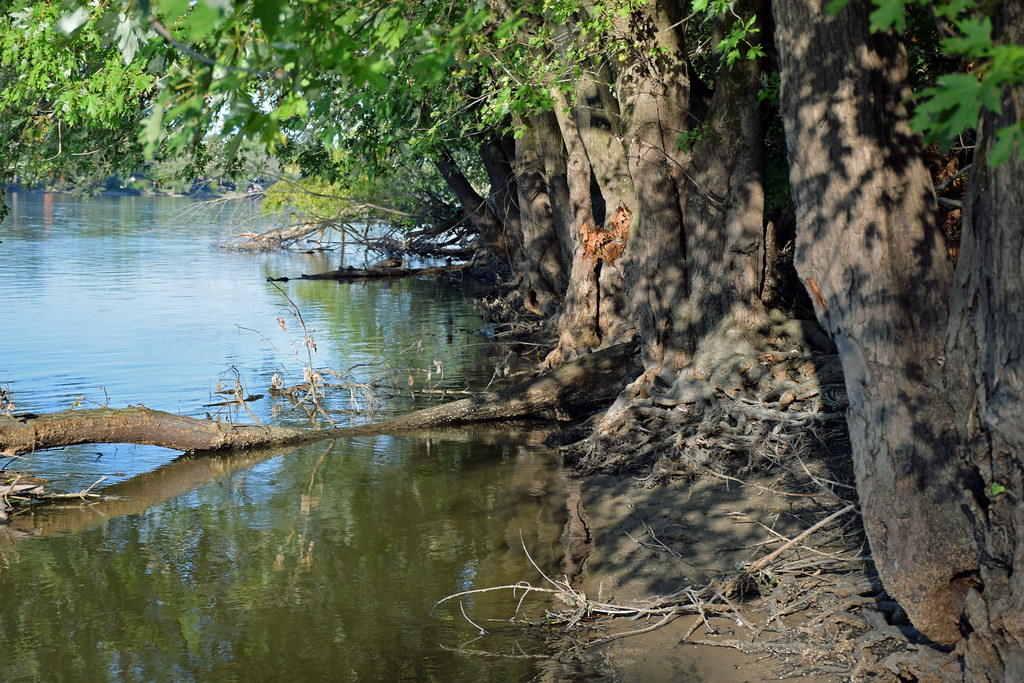 Rock River near Oregon, IL a photo on Flickriver