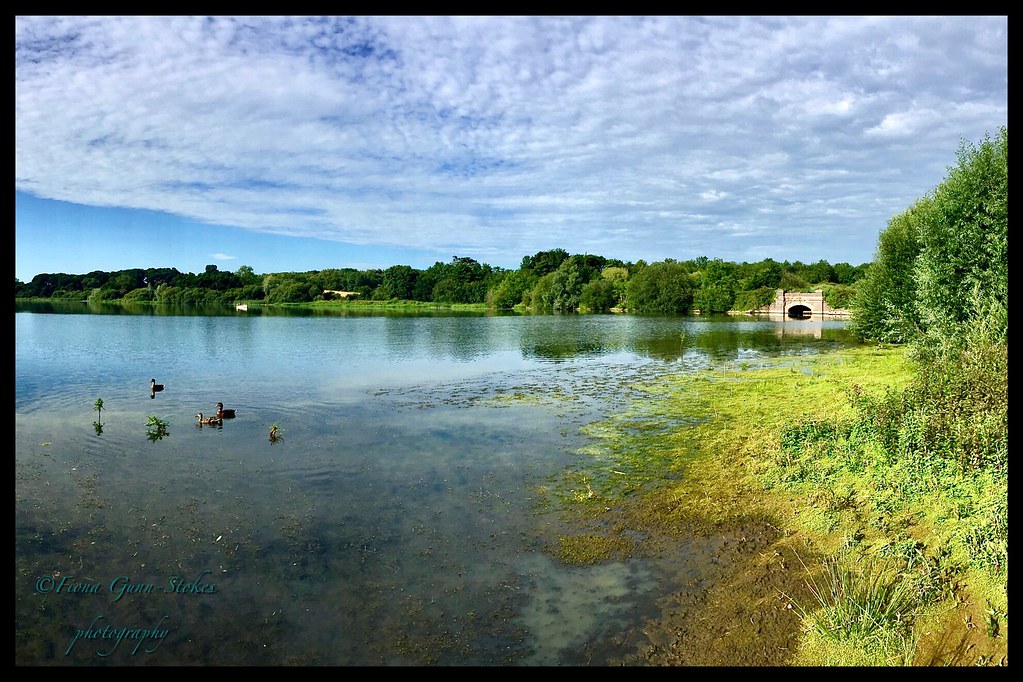 Summer at Ravensthorpe Reservoir Ravensthorpe, Northampton… Flickr