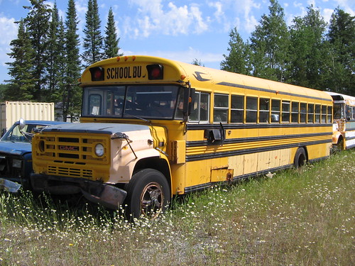 Flickr The School Bus Web Flickr Group Pool