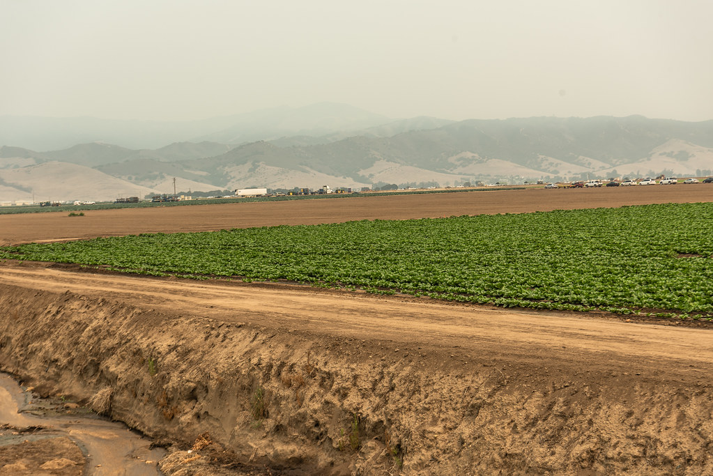 Salinas Farmland August 19, 2020 Salinas, CA Farmland, w… Flickr