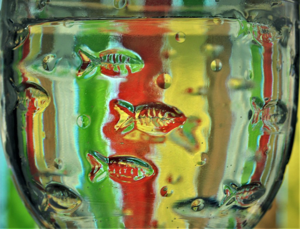 swim little fishy A glass of water, with fish Happy Monday… holly