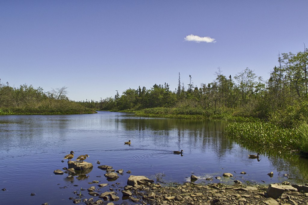 Shearwater Flyer Trail Map & Guide Halifax, Nova Scotia