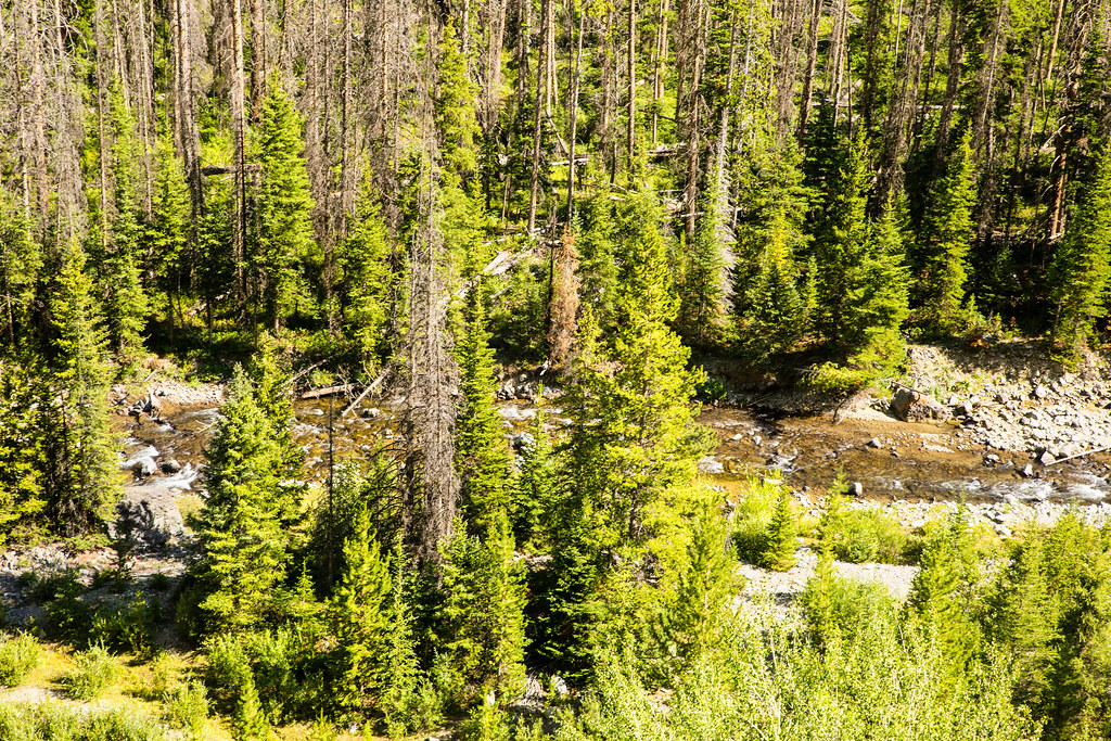 Wood River Wood River flowing in the valley below the town… Flickr