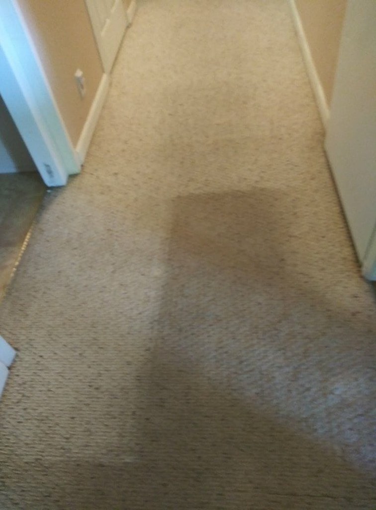 Carpet Cleaning Roseville Whether it’s your home or office… Flickr