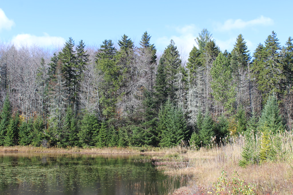 Whitingham Vermont Lake Clara NewEnglandOtaku Flickr