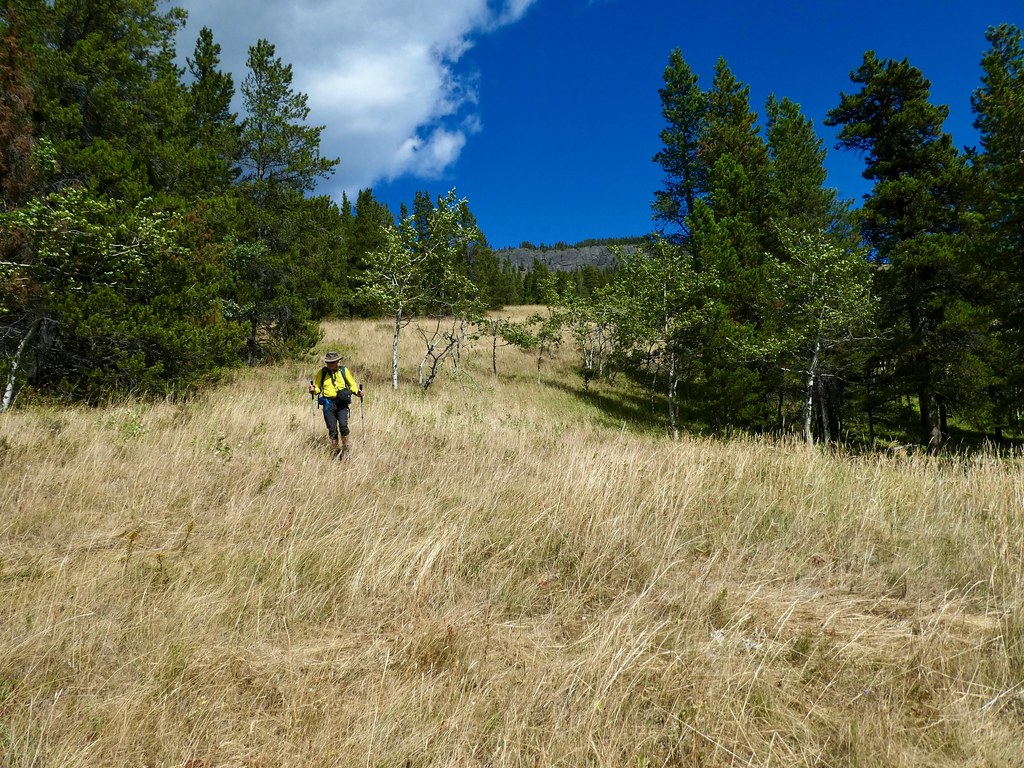 Junction Hill Loop Hike The final meadows with the rocky… Flickr