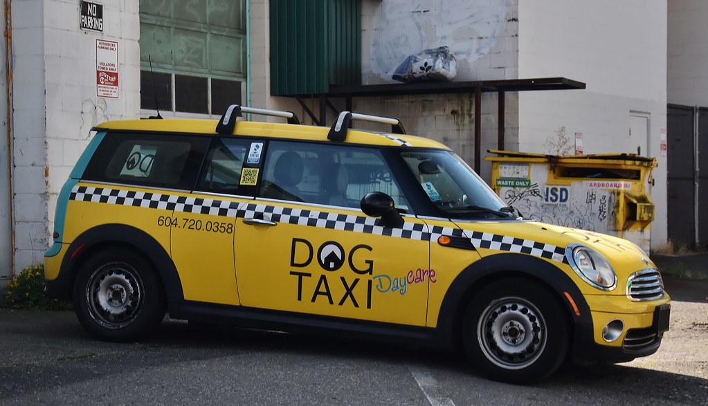 Dog Taxi a photo on Flickriver
