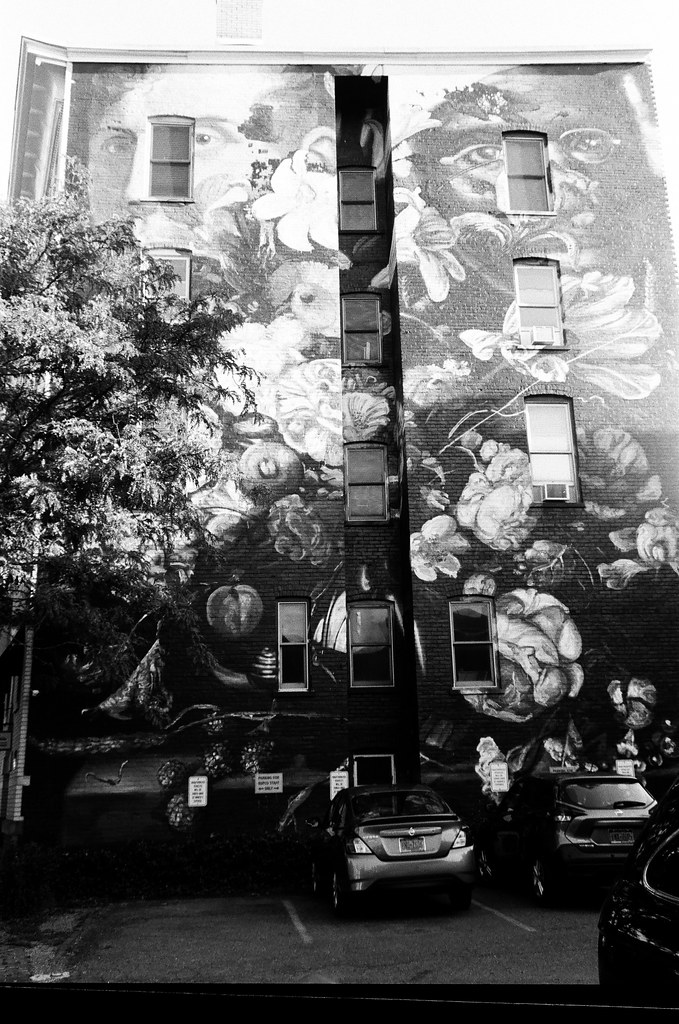 Kingston Mural Kingston, NY Minolta X700 Kodak TriX 40… Flickr
