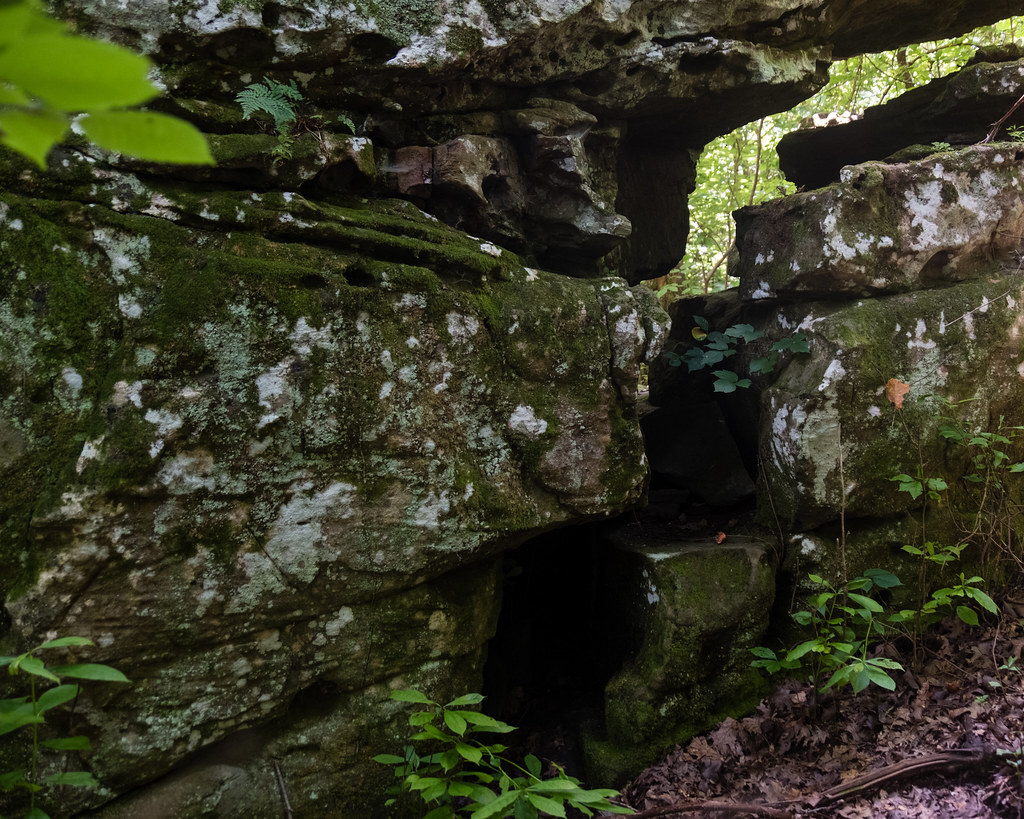 Round Top Mountain Trail, Ozarks 7/7/20 Sharon Mollerus Flickr
