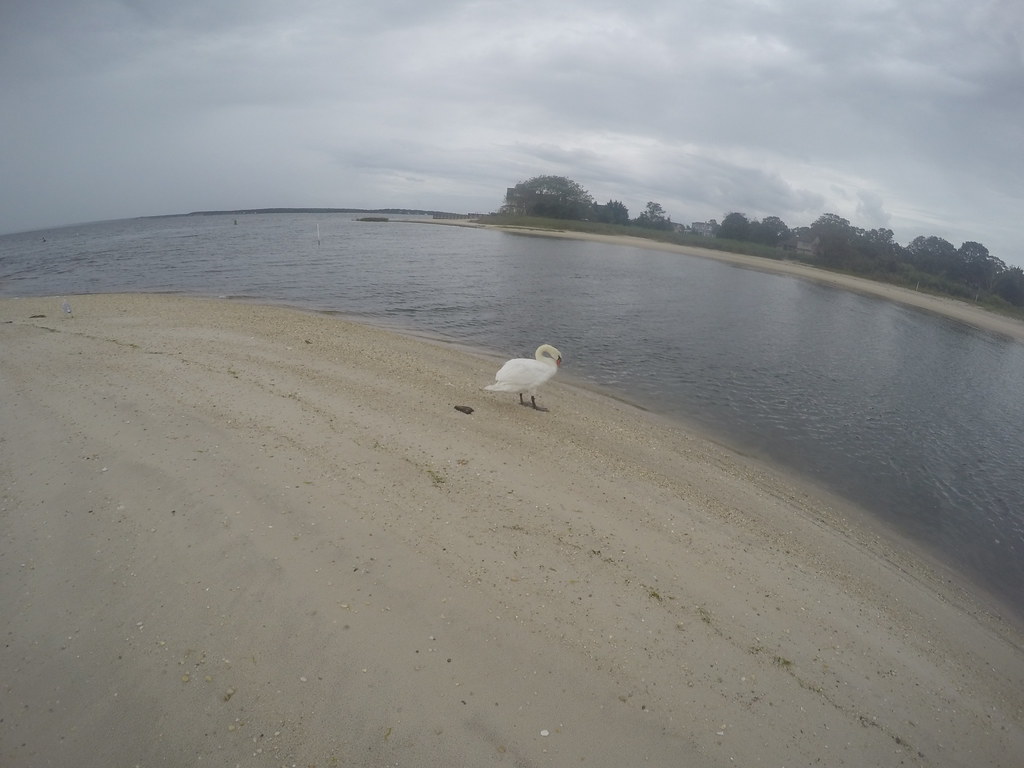 South Jamesport Beach just off season DCIM\100GOPRO\GOPR17… Flickr