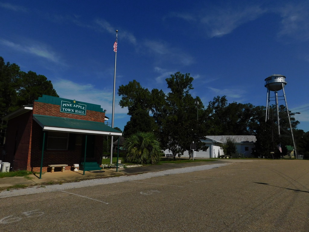 Downtown Pine Apple, Alabama Jimmy Emerson, DVM Flickr