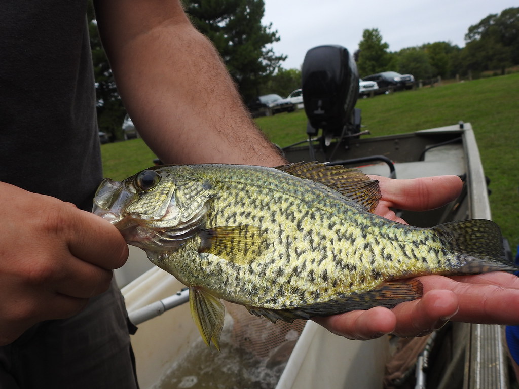 Indiana Master Naturalist Class 9.10.20 Flickr