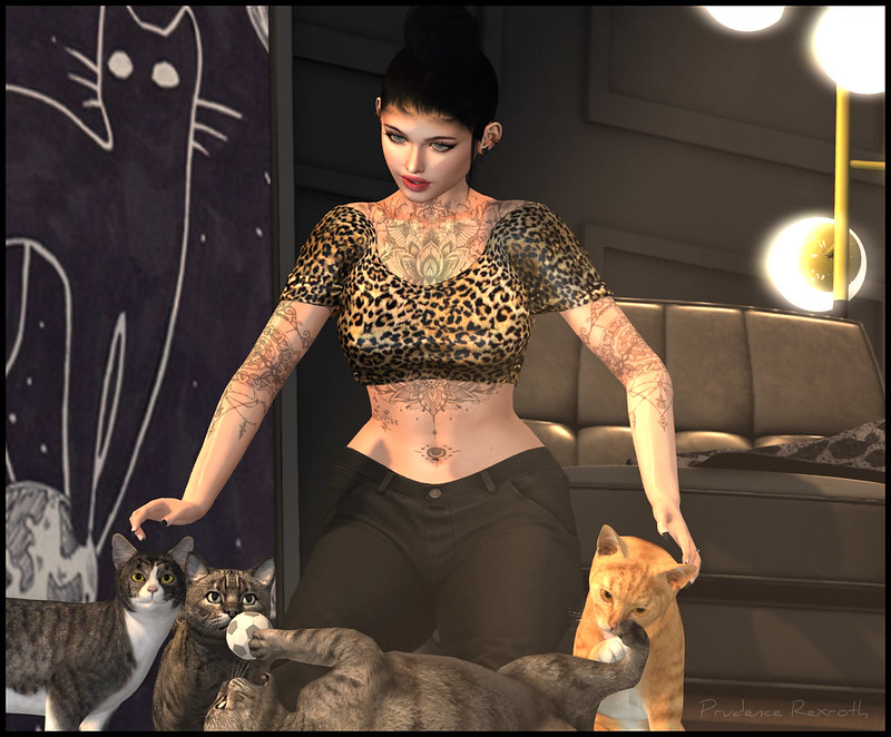 BellePoses Backdrop | FabFree - Fabulously Free in SL