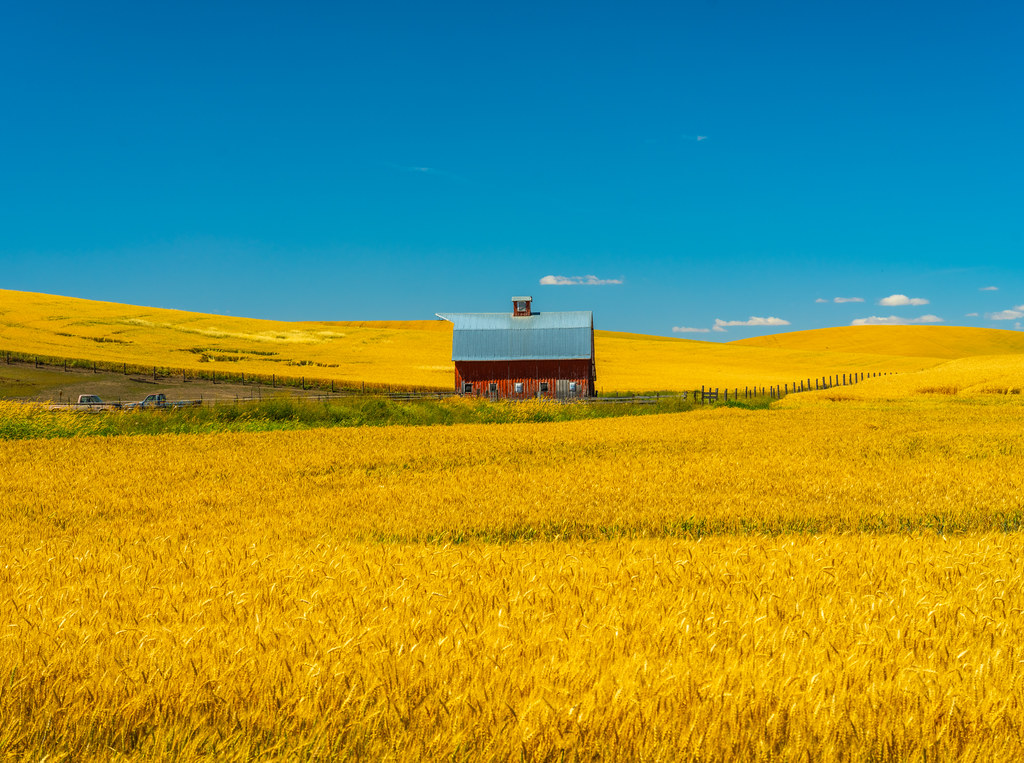 Washington Palouse Plains Farmland & Barns Fuji GFX100 Fin… Flickr