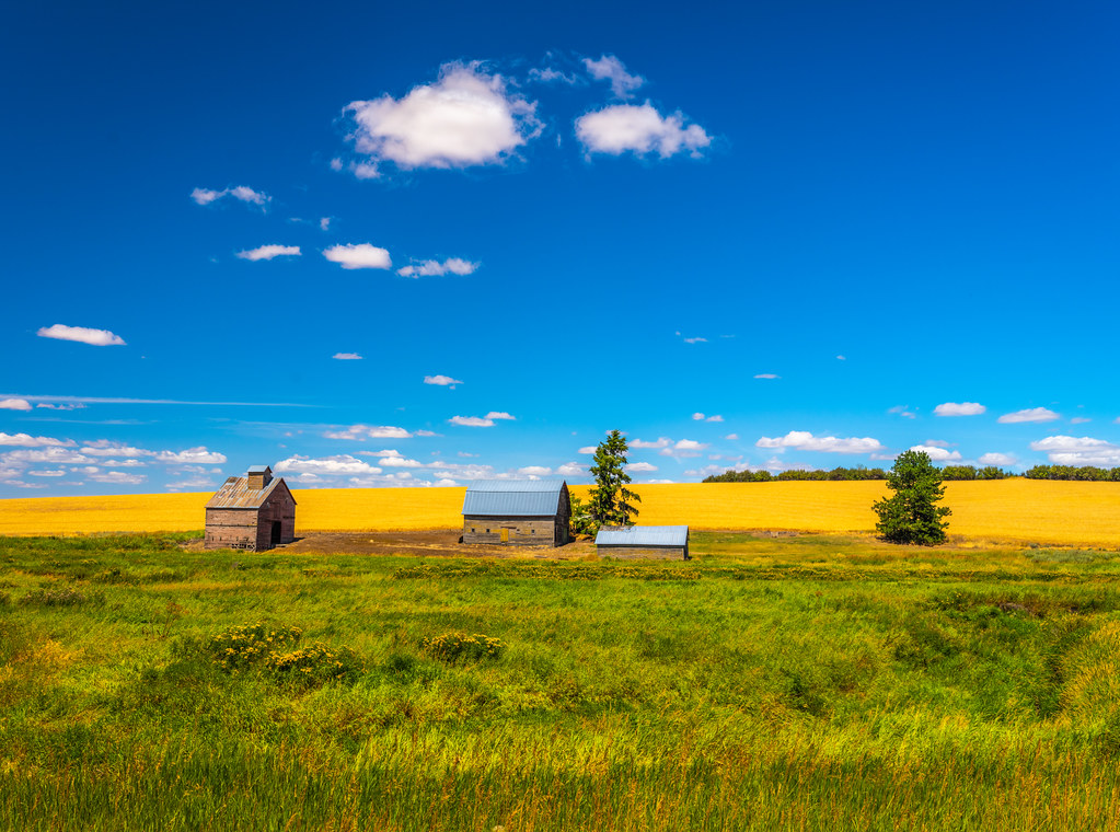Washington Palouse Plains Farmland & Barns Fuji GFX100 Fine Art Landscape Nature Photography