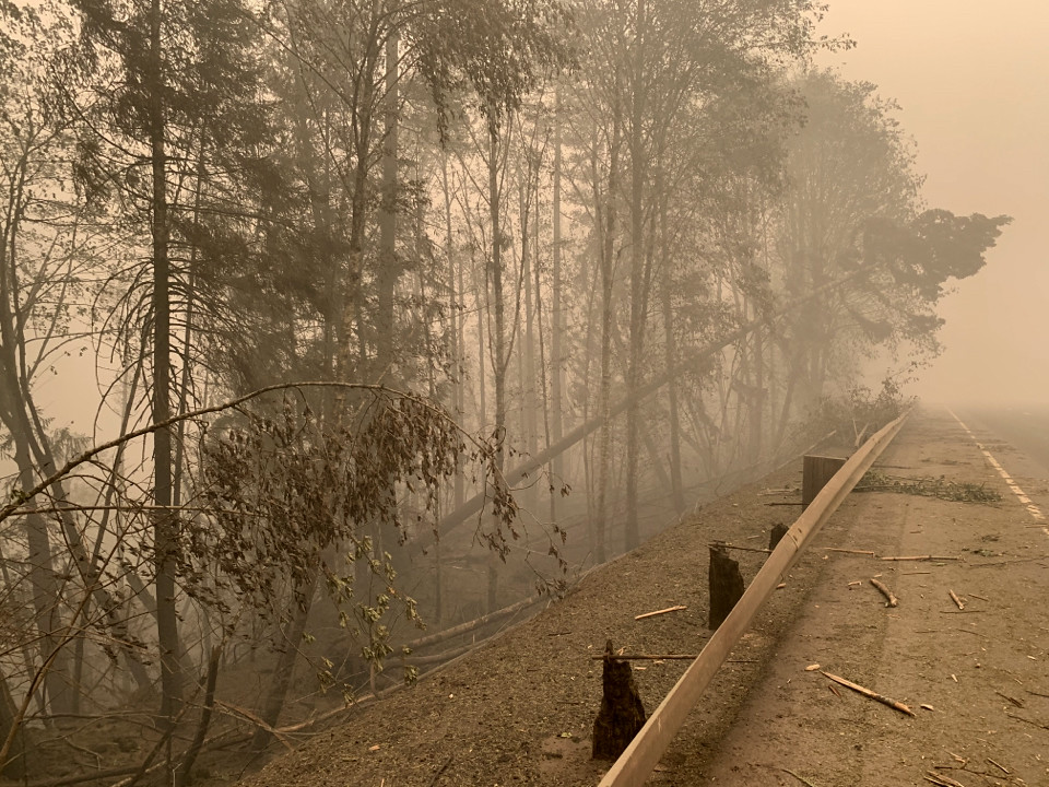 Hazard trees threaten OR 22 Fire damage on OR22 near Gates… Flickr