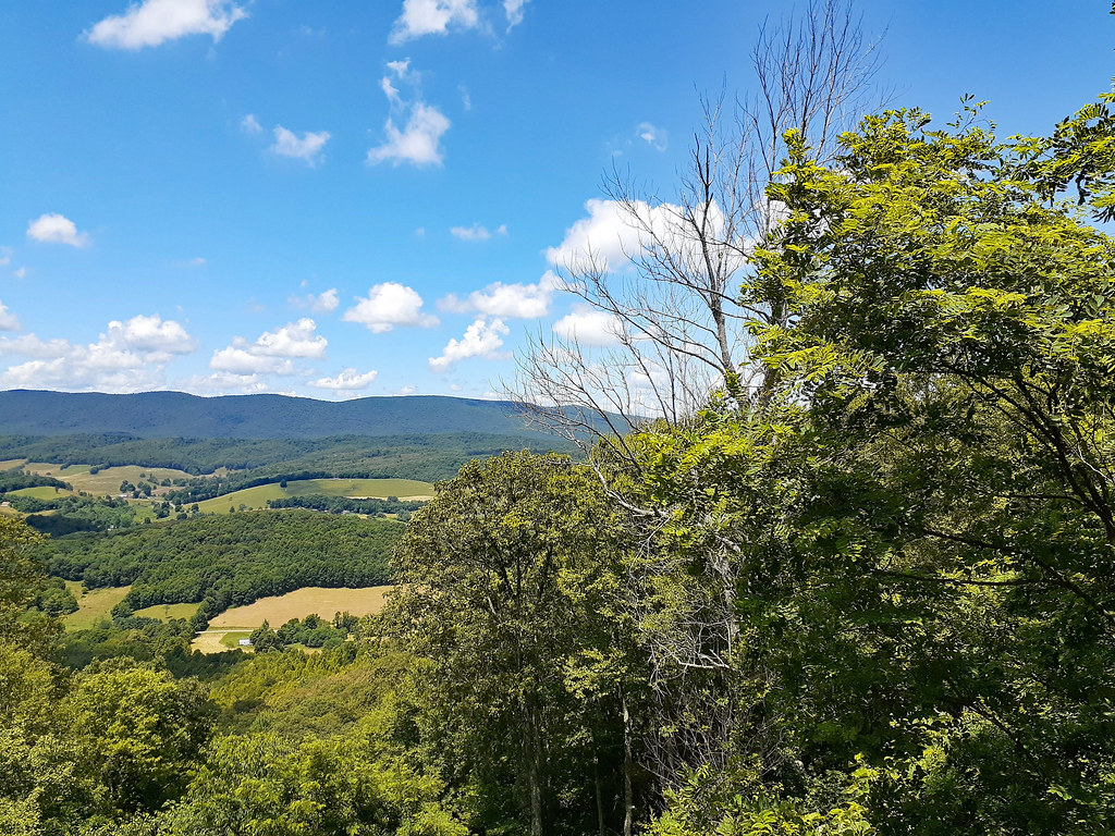 Elevation of Rose Hill Rd, Wytheville, VA, USA Topographic Map